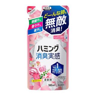 ﾊﾐﾝｸﾞ 消臭実感 ﾛｰｽﾞ&ﾌﾛｰﾗﾙ 替 380ml

